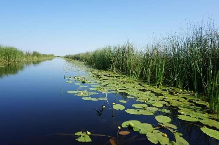 Apartament 2 Camere Semidecomandat "La Gicu" Sulina Exteriér fotografie